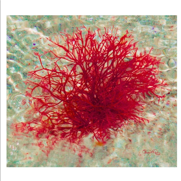 Karyn Bright TXA Serum With Pro-Verte™ and Blanc-Verte™ Complex NEW - Picture 8 of 9